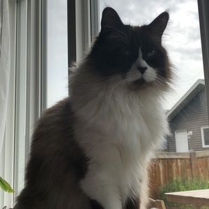 Meet your Posher, Steven